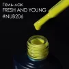 NUB Gel Polish Гель-лак 8мл № 206 - 4