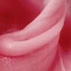 Акрил-гель DNKa Acryl Gel, 30 мл, №05 Powder, баночка - 2