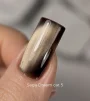 Гель-лак SAGA Professional Gel Polish Dream Cat №05 з ефектом котячого ока, 10 мл  - 2