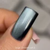 Гель-лак SAGA Professional Gel Polish Dream Cat №06 з ефектом котячого ока, 10 мл  - 2