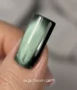 Гель-лак SAGA Professional Gel Polish Dream Cat №07 з ефектом котячого ока, 10 мл  - 2