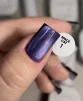 Гель-лак Saga Professional Gel Polish Space Cat №01 з ефектом котячого ока, 10 мл  - 3