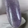 Гель-лак кришталева кішка, 10 мл №05 Cat Shine Gel Polish SAGA Professional - 2