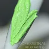 Паста рельєфна, 5 мл  №13 Колір: салатовий Relief paste SAGA Professional - 2