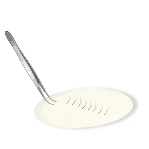 Силіконовий піднос для вій Medium KODI Professional 