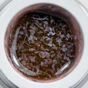 Гель із сухоцвітами, 5 мл №01 Flower Fairy Gel SAGA Professional