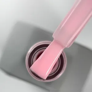 Топ камуфлюючий, 10 мл №06 Pastel Top SAGA Professional