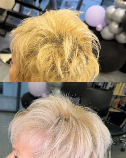 Тонувальний крем для волосся прямої дії (колір: ПАСТЕЛЬНИЙ-СІРИЙ/Ash Blossom), 200 мл Direct Colour Cream ELINOR Professional