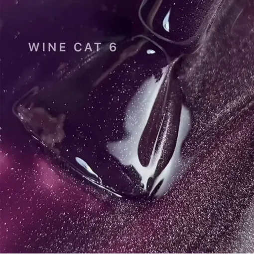 Гель-лак кошаче око, 10 мл №06 Wine Cat Gel Polish SAGA Professional